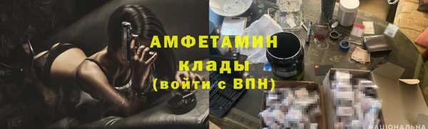 хмурый Абаза