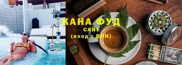 хмурый Абаза