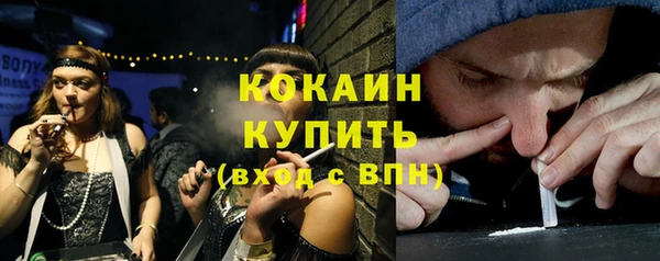 хмурый Абаза
